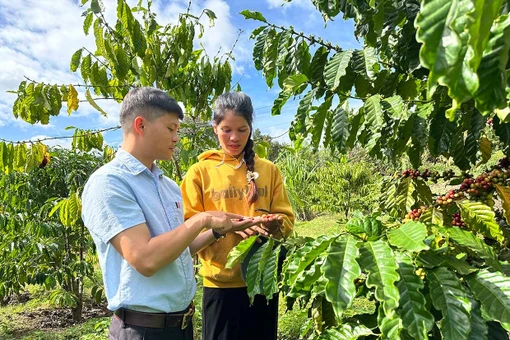 Điểm tựa cho nông dân dân tộc thiểu số