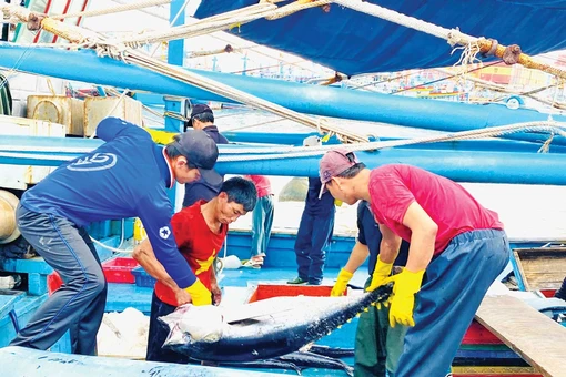 Hướng đến ngành thủy sản hiện đại, bền vững