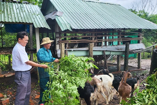 Phát huy vai trò tổ chức Đảng trong vùng dân tộc thiểu số