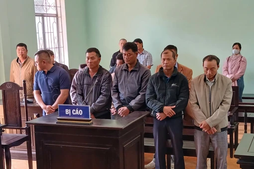 3 nhân viên bảo vệ rừng nhận hối lộ của lâm tặc.