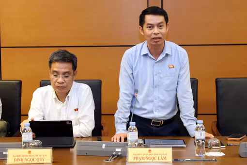 Cần cân nhắc kỹ việc giao thẩm quyền cho Chính phủ quy định chi tiết một số mức doanh thu miễn thuế.