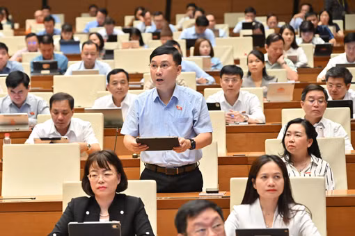 Đại biểu Lê Hoàng Anh đề nghị làm rõ cơ sở pháp lý, trách nhiệm trong thực hiện dự án đường Vành đai 5 - vùng Thủ đô Hà Nội. Ảnh: Đoàn ĐBQH tỉnh Gia Lai