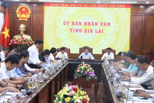 UBND tỉnh Gia Lai triển khai nhiệm vụ trọng tâm phát triển kinh tế - xã hội tháng 5-2026.