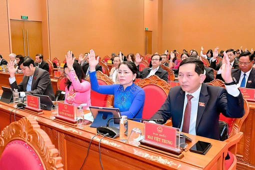 Gia Lai chấp thuận chuyển đổi gần 162 ha đất rừng để thực hiện các dự án.