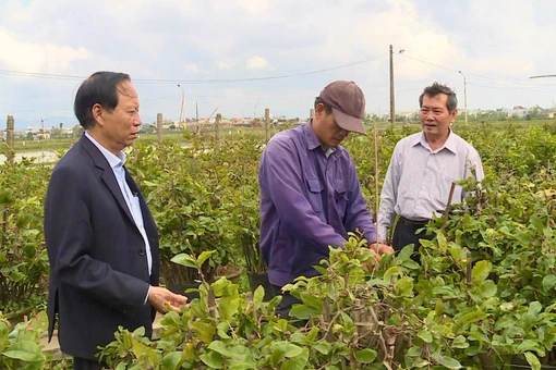 Người khuyết tật nỗ lực lao động, lan tỏa tinh thần vượt khó