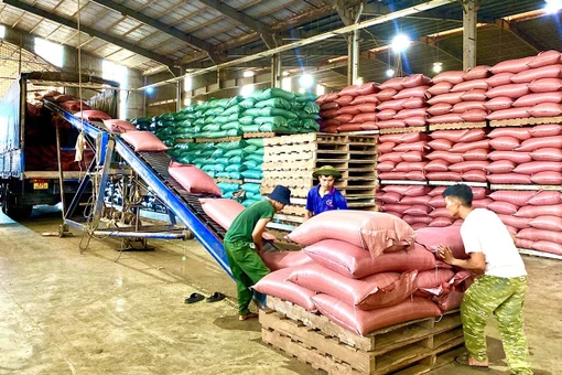 Hỗ trợ pháp lý - “lực đẩy” cho doanh nghiệp nhỏ và vừa