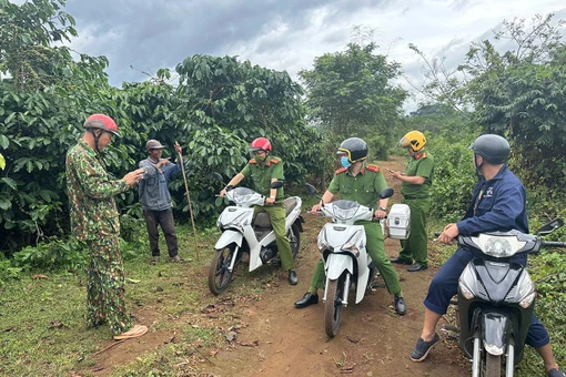 Tội phạm trộm cắp tài sản vẫn diễn biến phức tạp