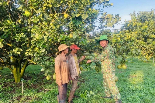 Chung mục tiêu vì đời sống hội viên cựu chiến binh