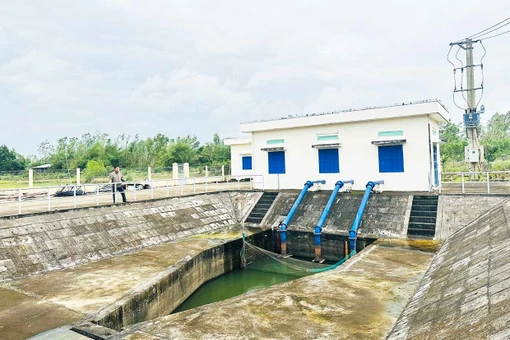 Quan tâm đầu tư hệ thống thủy lợi phục vụ sản xuất lúa nước