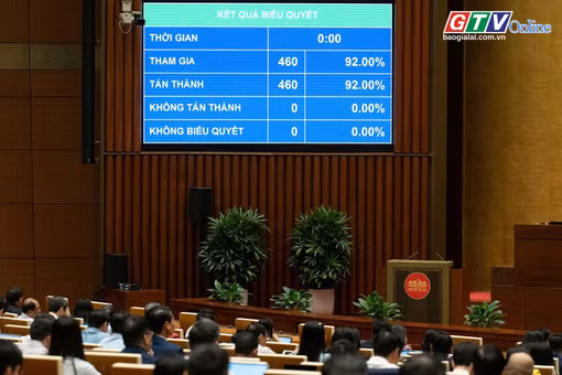 Toàn cảnh Gia Lai 24h: Quốc hội quyết giảm thuế xăng dầu về 0% đến hết tháng 6-2026