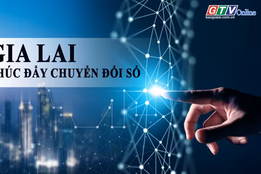 Toàn cảnh Gia Lai 24h: Thúc đẩy chuyển đổi số, hoàn thành gần 55% nhiệm vụ quý I - 2026