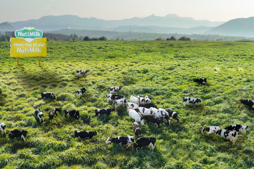 Điểm tin trưa: Gia Lai tháo “nút thắt” cho các dự án nông nghiệp, chăn nuôi quy mô lớn