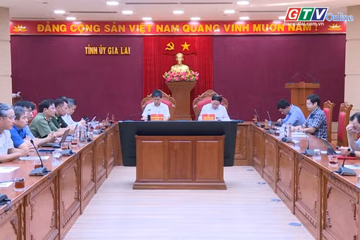 Toàn cảnh Gia Lai 24h: Sơ kết 6 nghị quyết vùng- Tháo gỡ điểm nghẽn, tăng cường liên kết