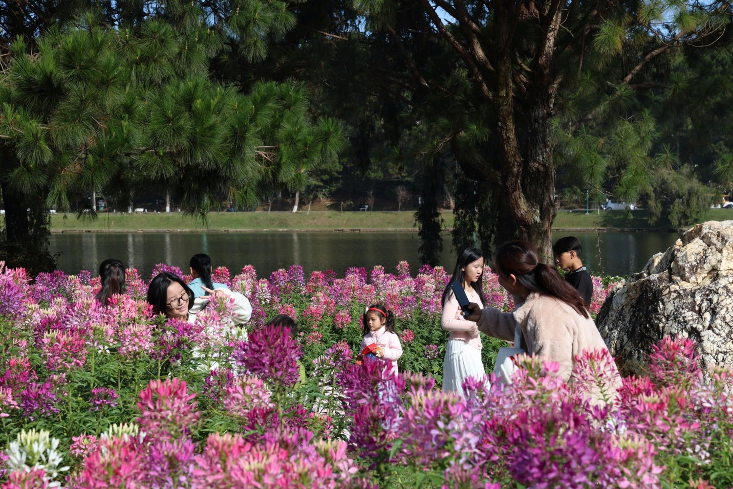 Khám Phá Đà Lạt Vào Tháng 6: Cảnh Quan, Hoạt Động Đặc Sắc