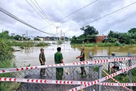 mua-lon-gia-lai-keo-dai