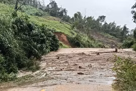 gia-lai-nguy-co-sat-lo-dat