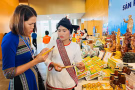 Tỉnh đoàn Gia Lai tổ chức cuộc thi “Thanh niên Gia Lai khởi nghiệp sáng tạo” lần thứ II - năm 2026