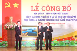 Gia Lai: Công bố Nghị quyết của Ủy ban Thường vụ Quốc hội về sắp xếp đơn vị hành chính cấp xã ở TP. Pleiku