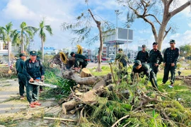 Hơn 300 cán bộ, chiến sĩ Trung đoàn Cảnh sát cơ động Nam Trung Bộ ra quân giúp dân khắc phục hậu quả bão số 13