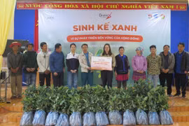 Nhóm từ thiện Fly To Sky tặng 16.000 cây quế giống cho người dân Lào Cai