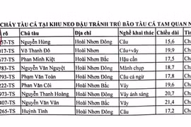 gia-lai-chay-tau-ca-Cang-ca-Tam-Quan