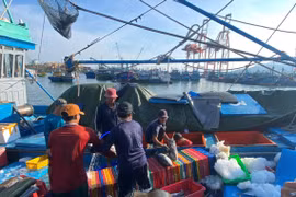 gia-lai-ho-tro-giai-ban-tau-ca-cuoc-phi-thue-bao-VMS 