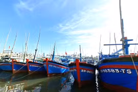 gia-lai-nong nghiep-anh-huong-bien-dong-gia-xang-dau