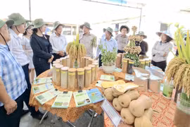 pho-chu-tich-Duong-Mah-Tiep-tham-vien-nghien-cuu-gia-lai