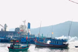 cảng-cá-quy-nhon-dong-cua-phu
