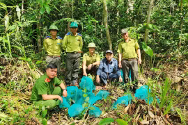 gia-lai-Kon-Ka-Kinh-tha-dong-vat-rung-quy-hiem-ve-tu-nhien