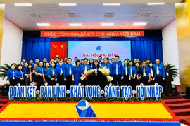 Đại hội đại biểu Hội Liên hiệp thanh niên Việt Nam tỉnh Gia Lai lần thứ VIII thành công tốt đẹp