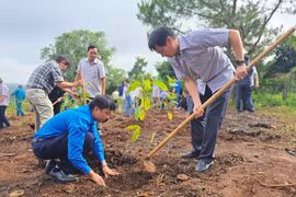 Trồng hơn 1.400 cây xanh tại xã Gào và xã Ia Kênh