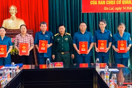 Gia Lai: Trao quyết định miễn nhiệm, bổ nhiệm cán bộ Ban Chỉ huy Quân sự cơ quan, tổ chức cấp tỉnh