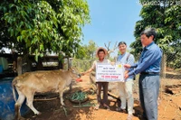 Quan tâm chăm sóc nạn nhân chất độc da cam 