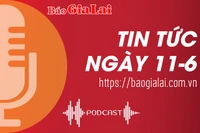 Tin tức sáng 11-6: Khám phá nhanh vụ án giết người tại huyện Kbang 