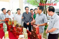 Thường trực Tỉnh ủy làm việc với Sở Khoa học và Công nghệ