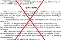 Quyết định giả mạo UBND tỉnh về giao đất trồng rừng