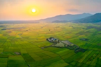 Hoàng hôn buông trên cánh đồng Ngô Sơn