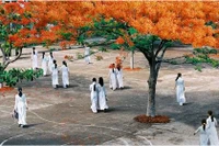 Ngày hội trường 