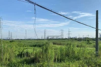 Đất nông nghiệp bỏ hoang sẽ bị Nhà nước thu hồi