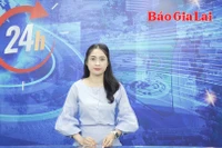Gia Lai 24h: 4 nhà máy điện gió tại Gia Lai bị Bộ Công an yêu cầu cung cấp thông tin, tài liệu 