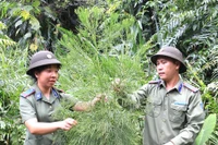 Vào vương quốc thủy tùng - Kỳ 2: Rừng là ngôi nhà thứ 2