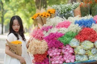 Mùa Thu gõ cửa, các nàng thơ rộn ràng check-in trên phố Hà Nội