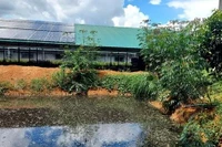 Xả thải ra suối gây ô nhiễm môi trường, doanh nghiệp bị phạt 140 triệu đồng