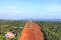 Đắk Lắk thu hồi gần 25 héc-ta rừng làm cao tốc Khánh Hoà – Buôn Ma Thuột