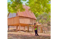 Về làng “quanh năm ăn cơm nếp”