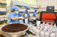 Kiến tạo phát triển từ tầm nhìn quy hoạch - Kỳ 3: Tạo đà cho ngành công nghiệp