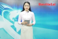 Gia Lai 24h: Kiểm tra đột xuất và xử lý nghiêm vi phạm trong Tháng hành động vì an toàn thực phẩm 