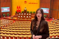 Lộ diện thí sinh Miss Grand Vietnam 2024 đầu tiên với loạt thành tích đáng nể