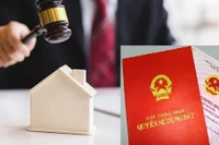 Bình Định yêu cầu kiểm soát người tham gia đấu giá đất
